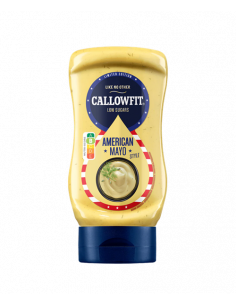 American mayo Style