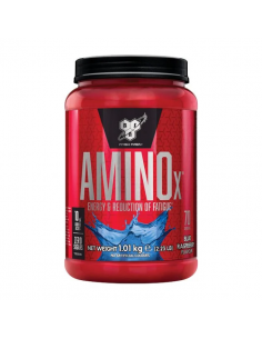 BSN Amino-X 2